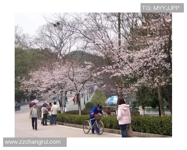 武汉乒乓球队的控制策略与发展动态深度解析