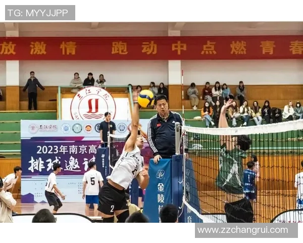 成都排球队的精神风貌与发展历程探讨